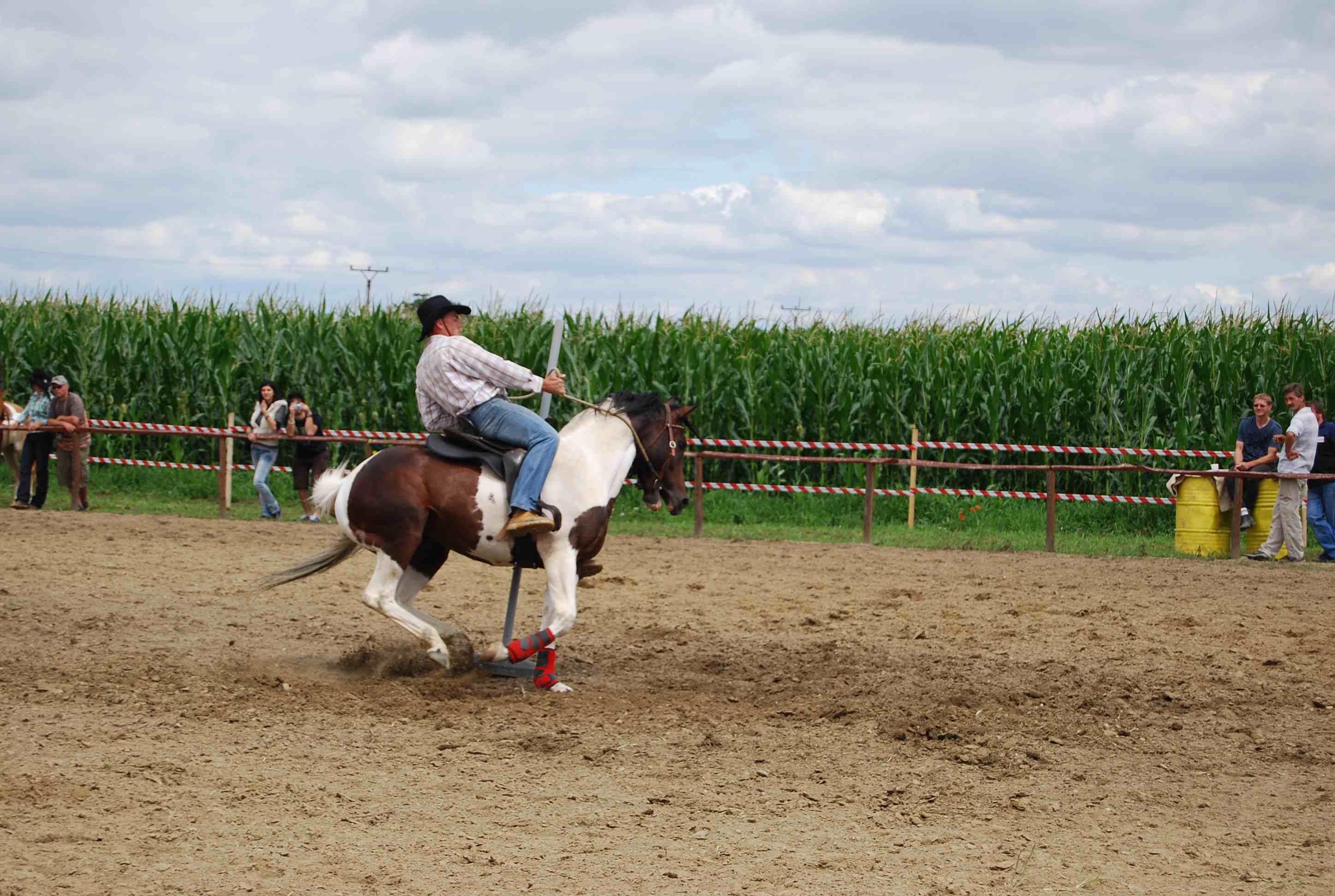DSC_2970.jpg