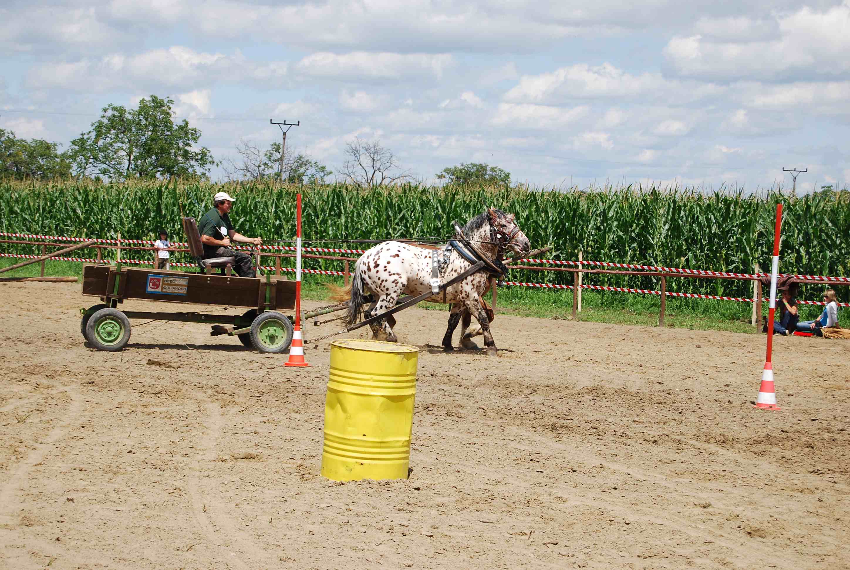 DSC_3014.jpg