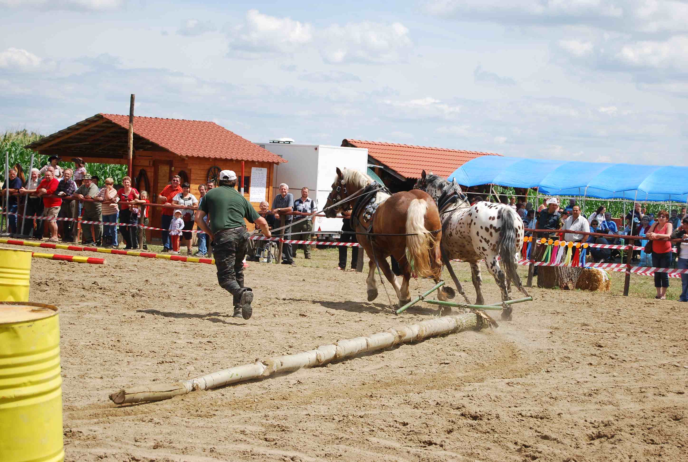 DSC_3075.jpg