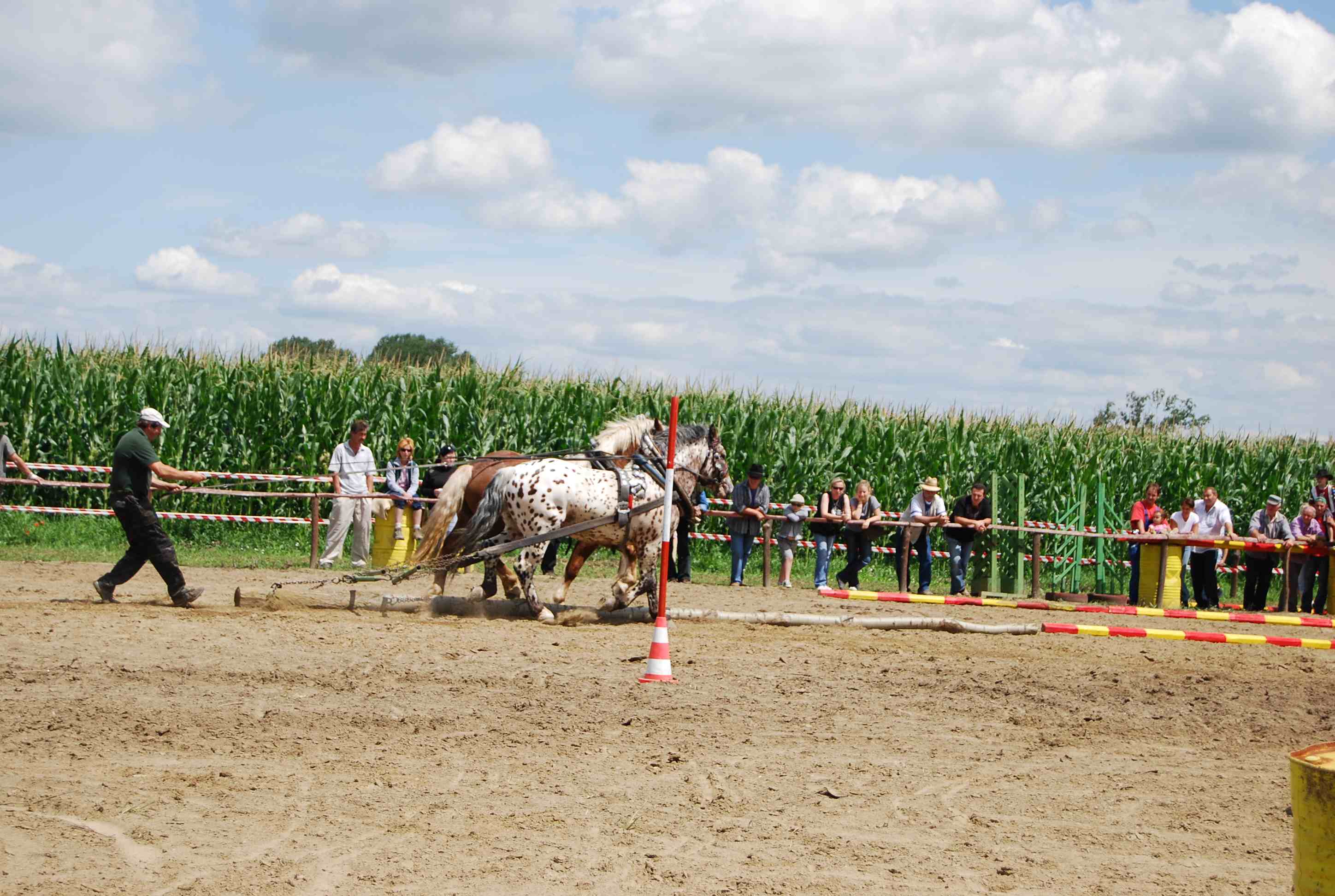 DSC_3083.jpg