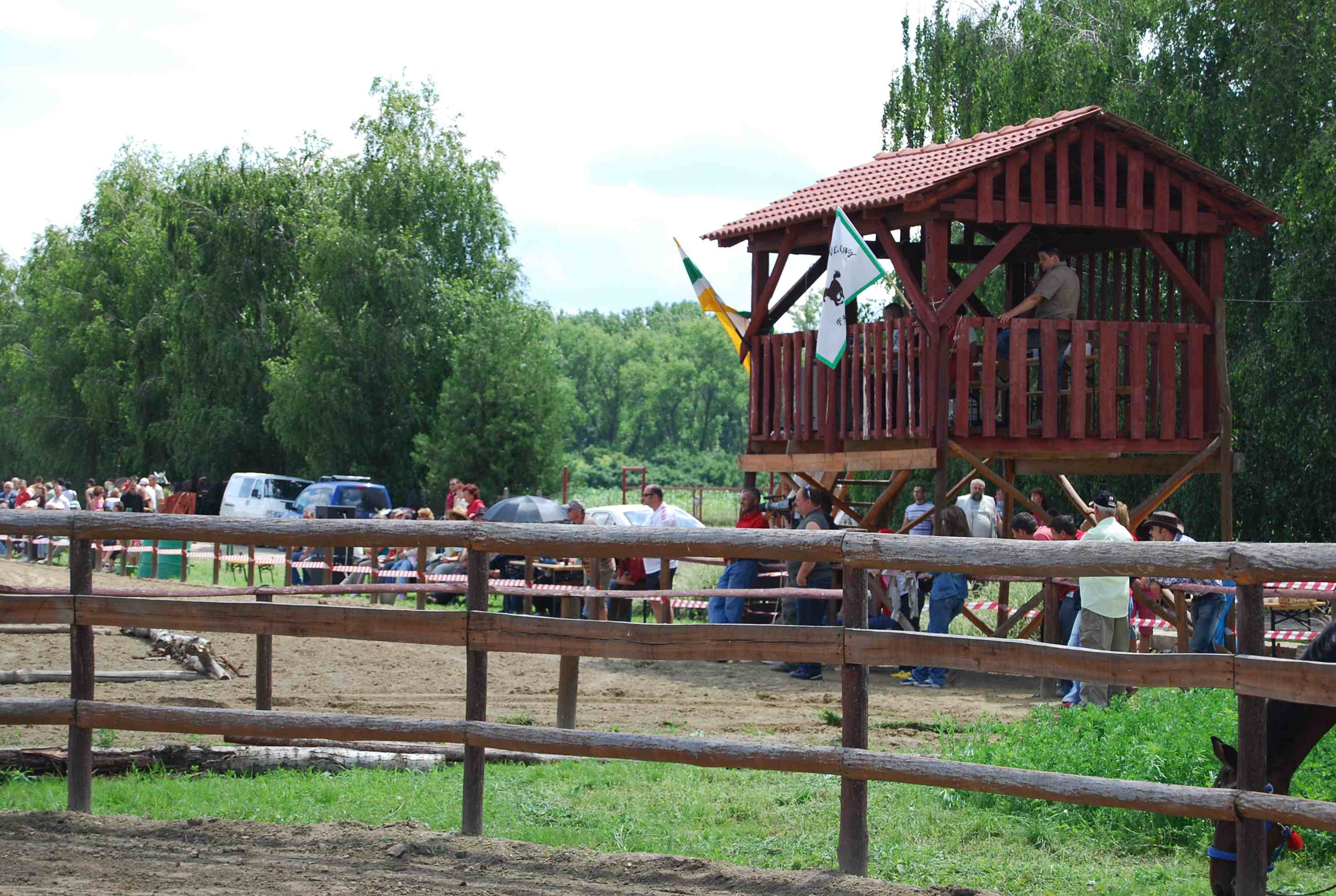 DSC_3091.jpg