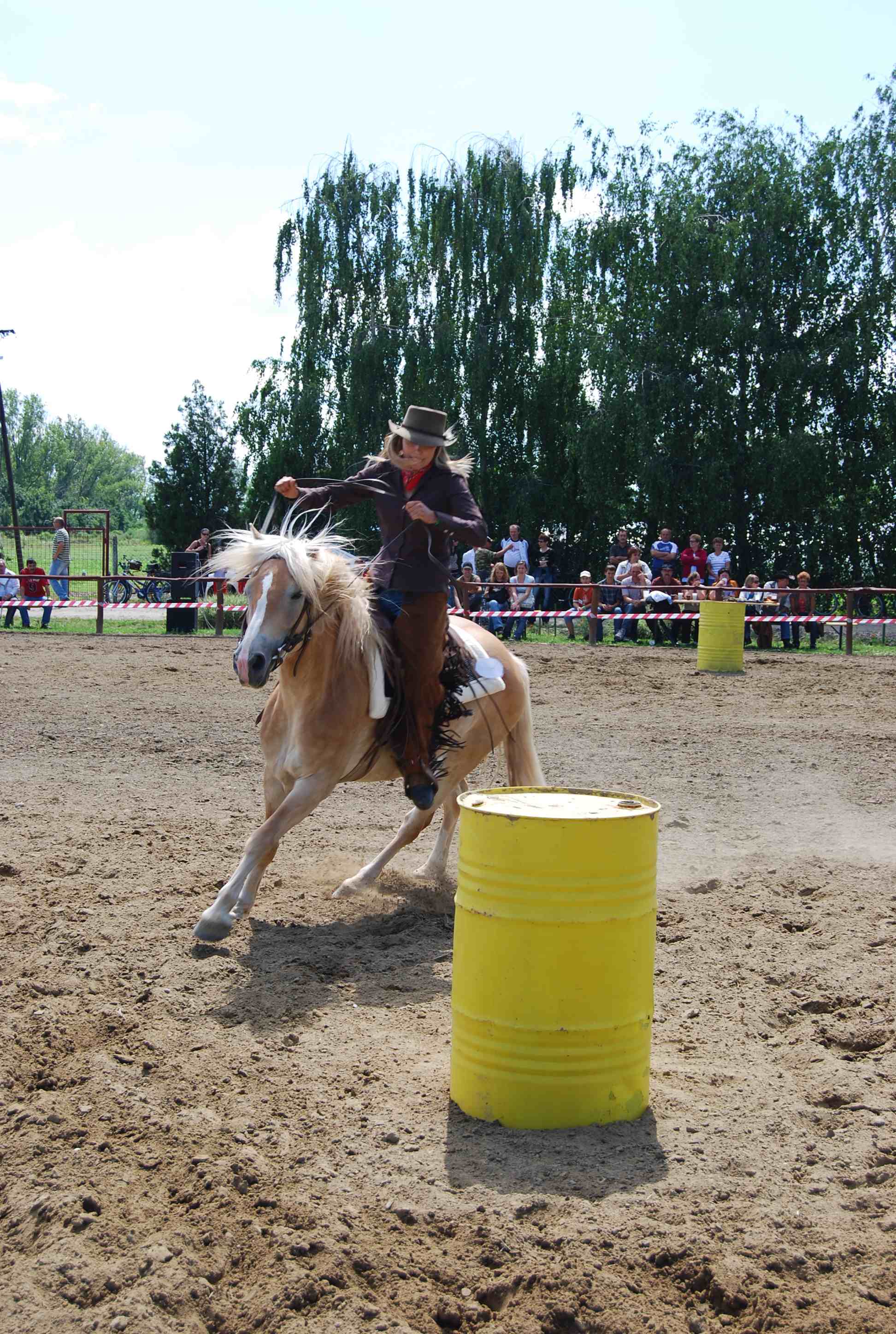 DSC_3155.jpg