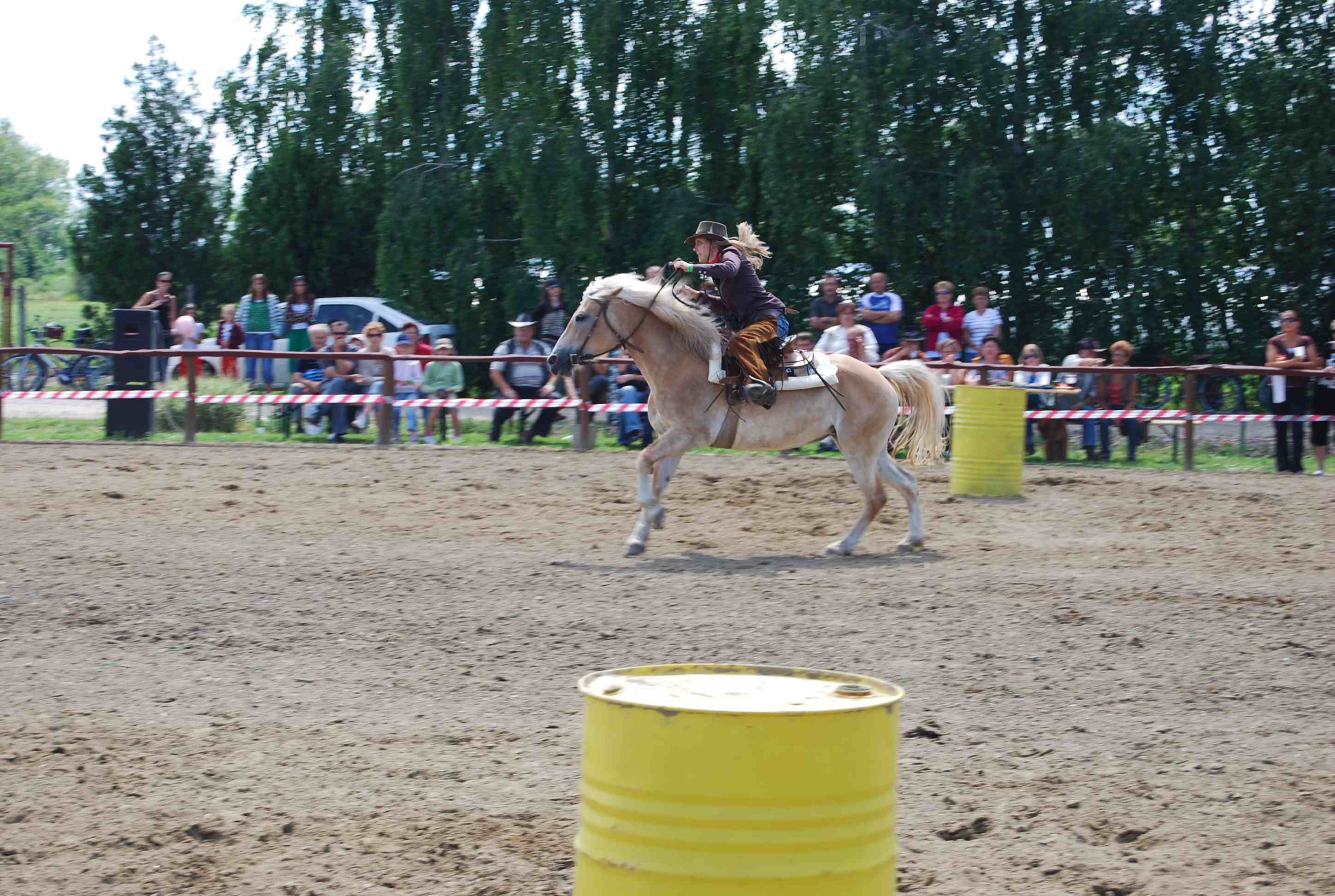 DSC_3159.jpg