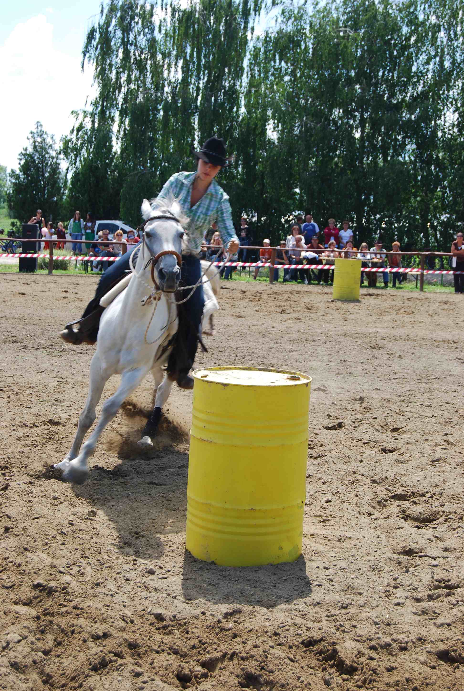 DSC_3161.jpg