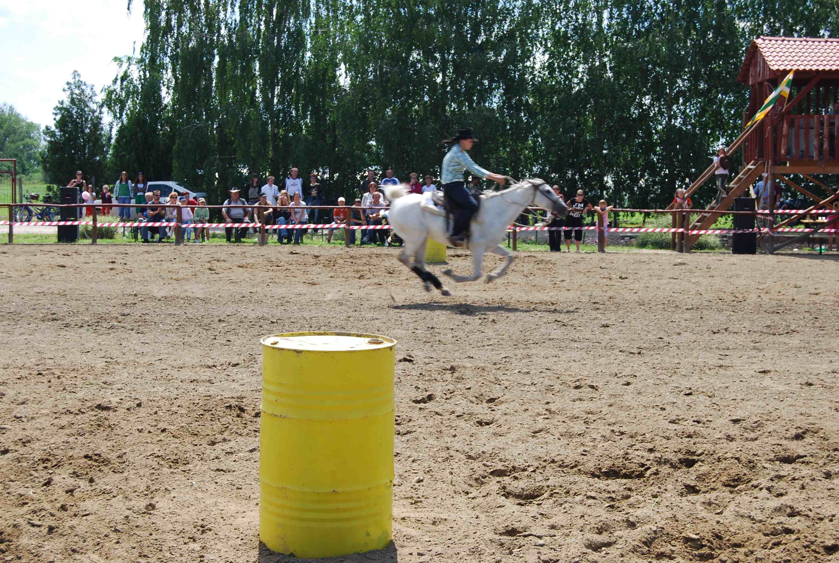 DSC_3166.jpg