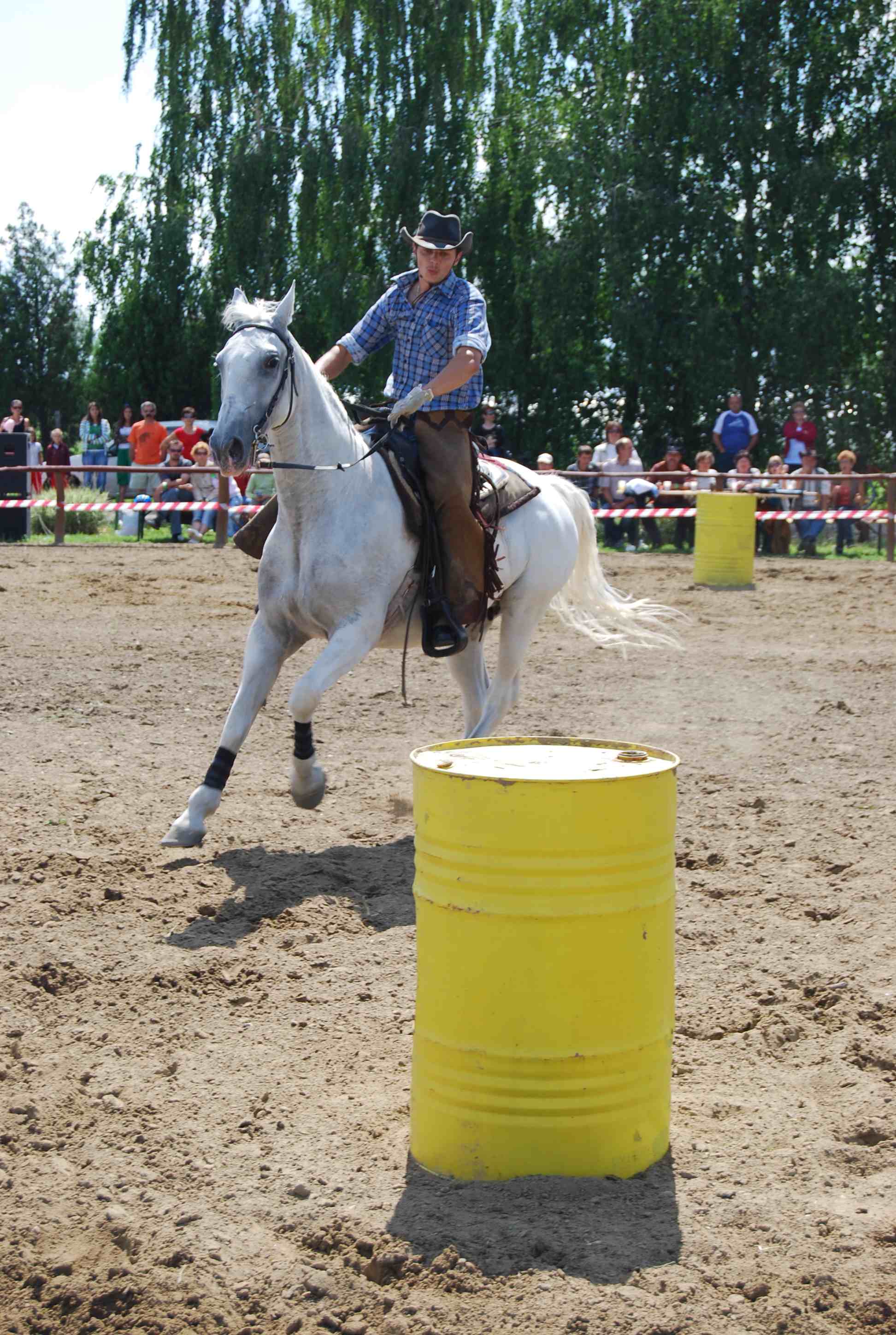 DSC_3185.jpg