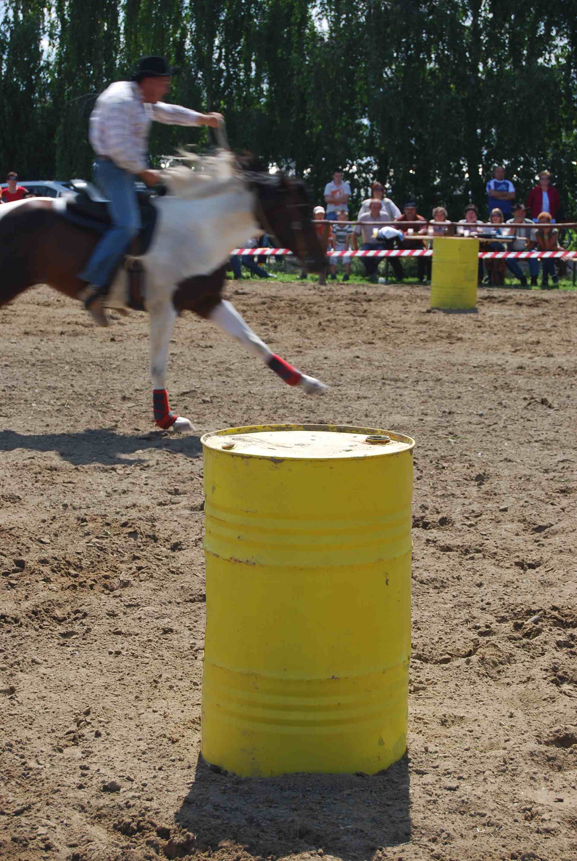 DSC_3194.jpg