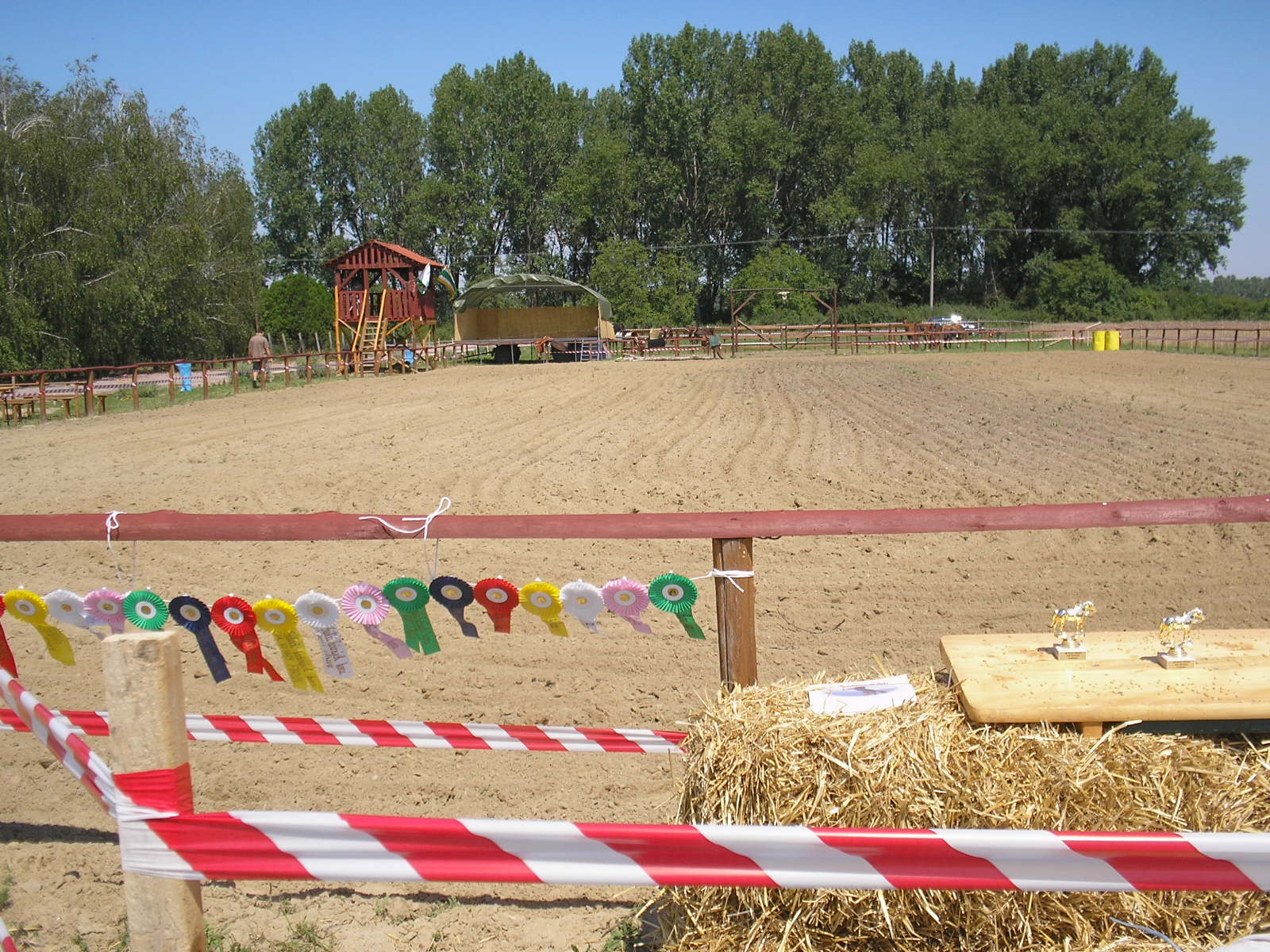 P7120041.JPG