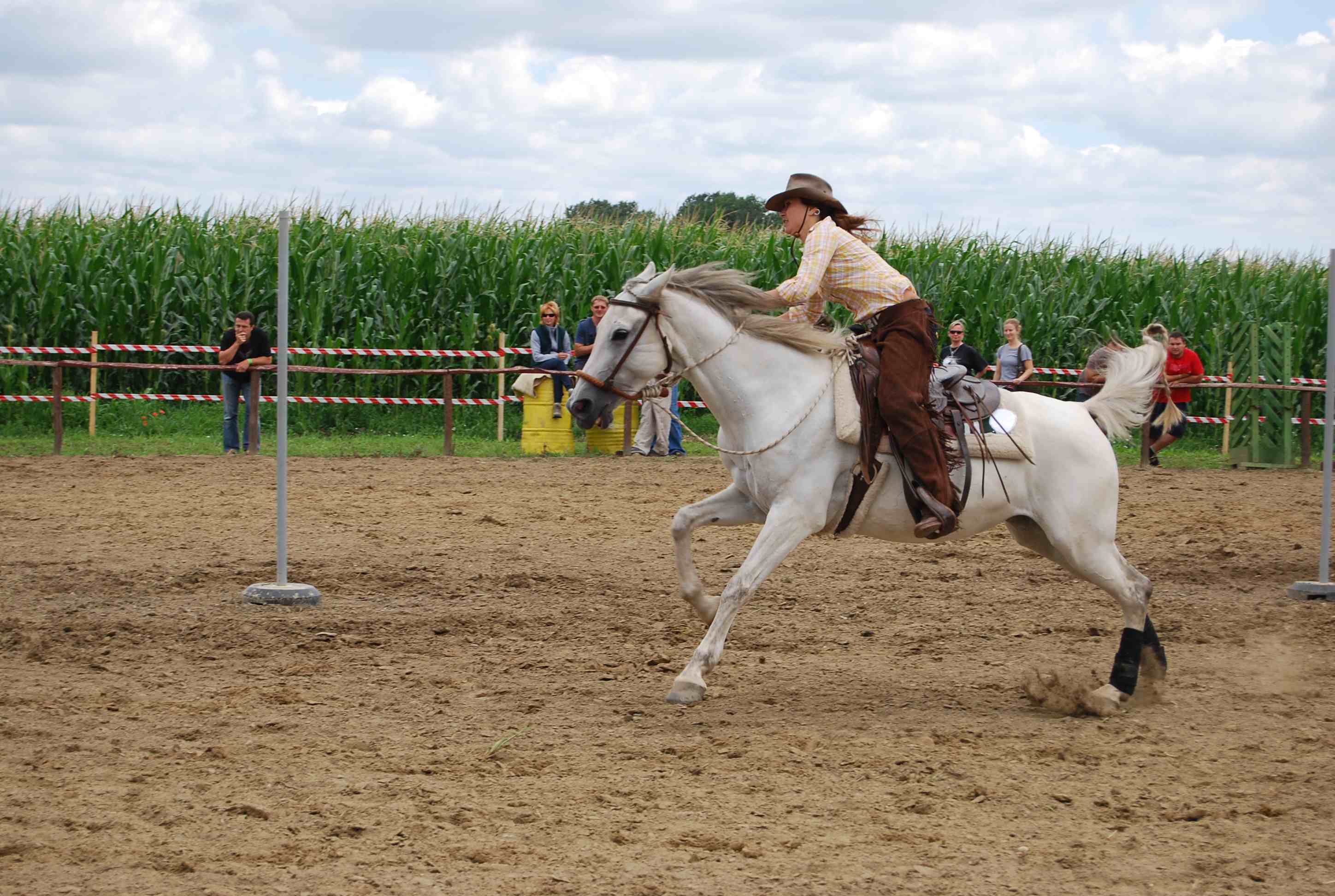 DSC_2951.jpg