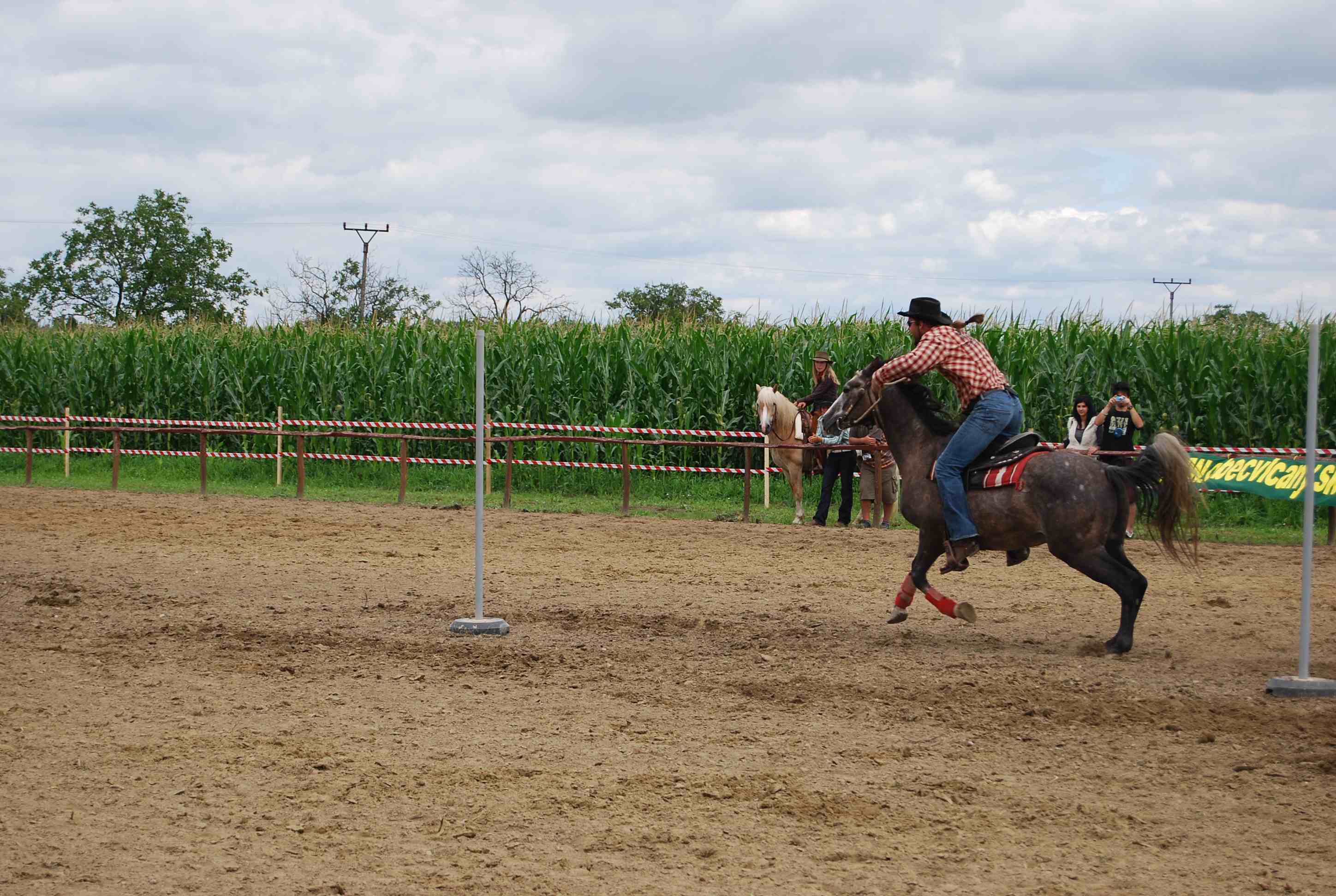 DSC_2964.jpg