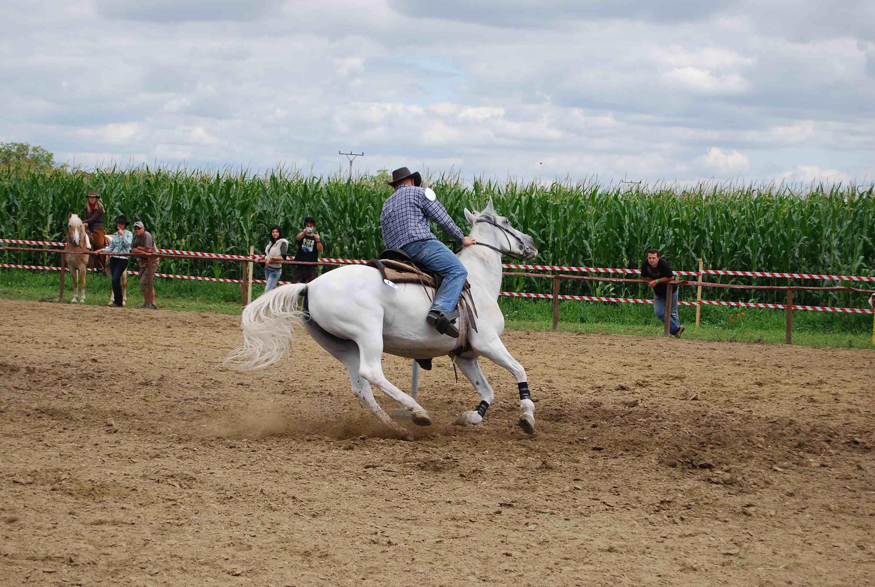 DSC_2967.jpg
